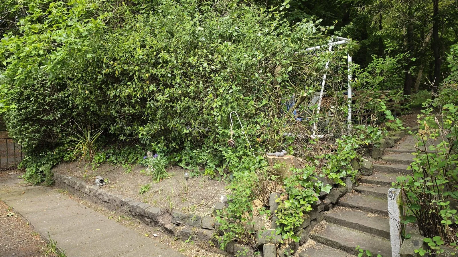 Overgrown shrubs covering a bank, with broken concrete steps at the right.